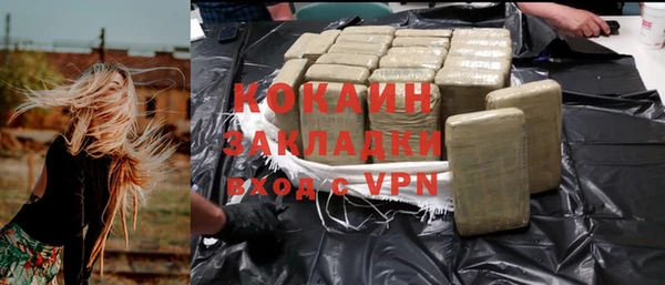 хмурый Алзамай