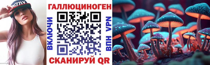 где купить наркотик  Староминская  Псилоцибиновые грибы прущие грибы 