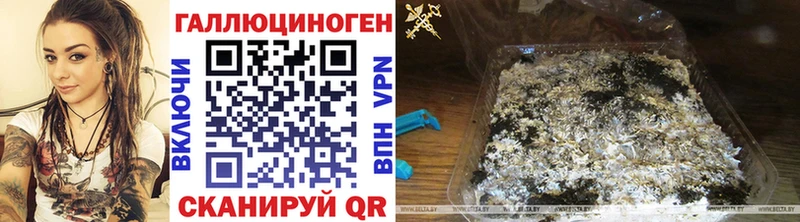 Галлюциногенные грибы GOLDEN TEACHER Староминская